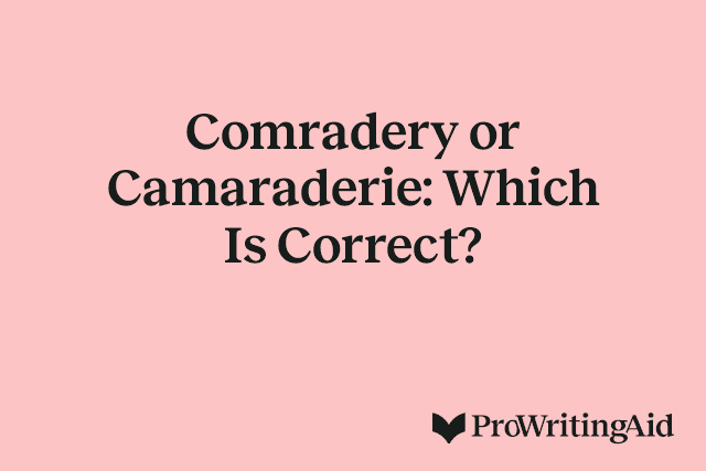 Comradery or Camaraderie: Which Is Correct?